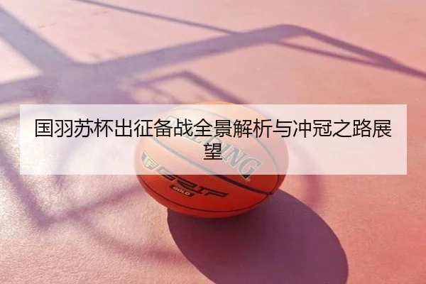 国羽苏杯出征备战全景解析与冲冠之路展望